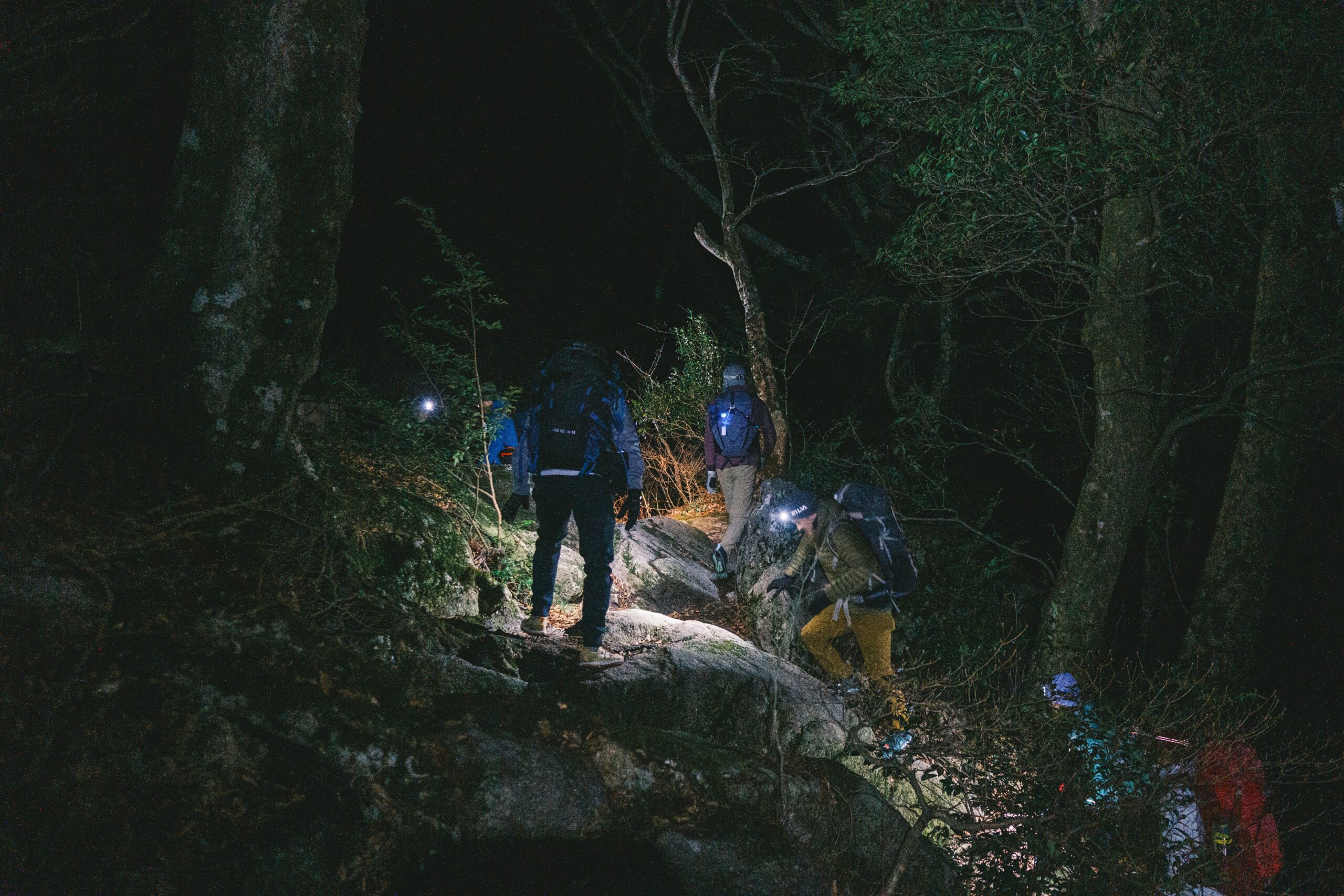 Peter Klein South Carolina-Night Hiking