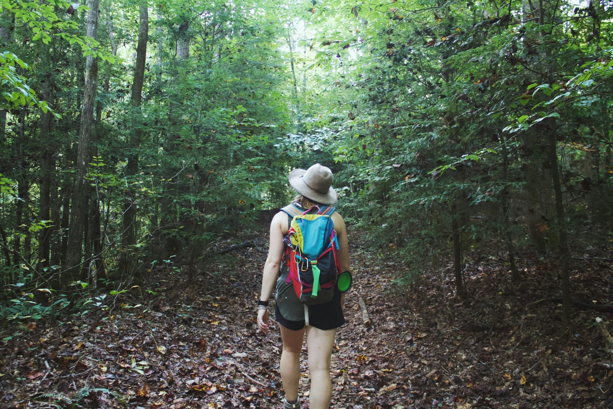 Finding Yourself on the Trail The Quiet Magic of Solo Hiking